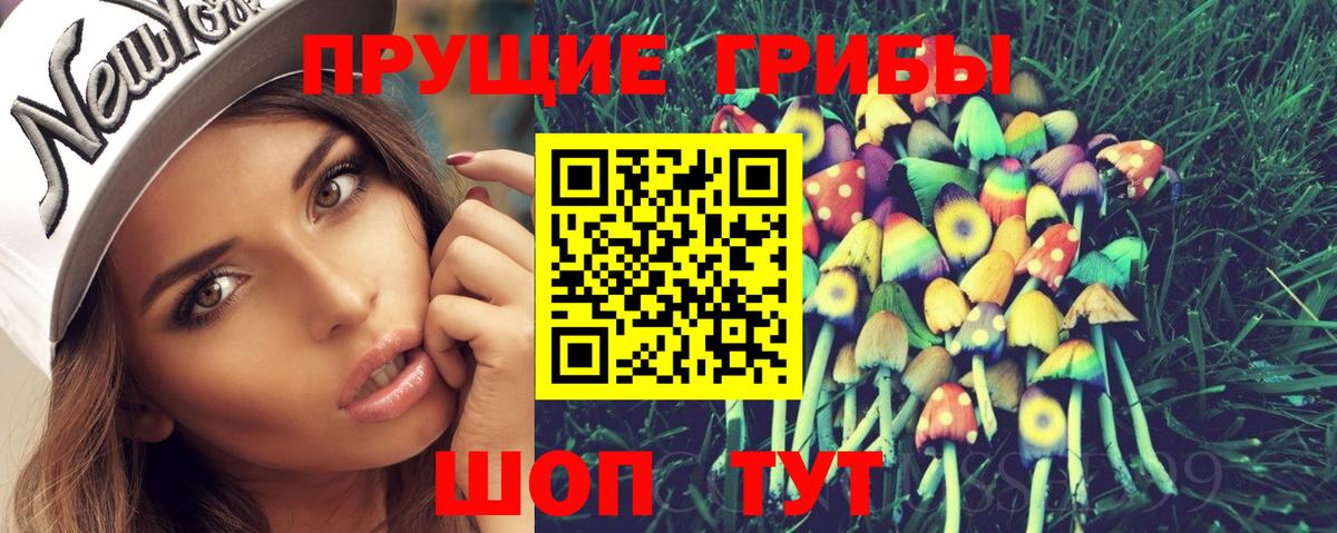 Псилоцибиновые грибы Psilocybe Краснодар